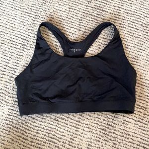 Crane & Lion Sportsbra
